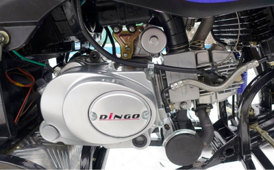 Купить двигатель на снегоход динго. Двигатель Ирбис Динго т125. Двигатель Irbis Dingo 125. Блок мотора снегохода Динго т125. Масляный радиатор Диего т 150.