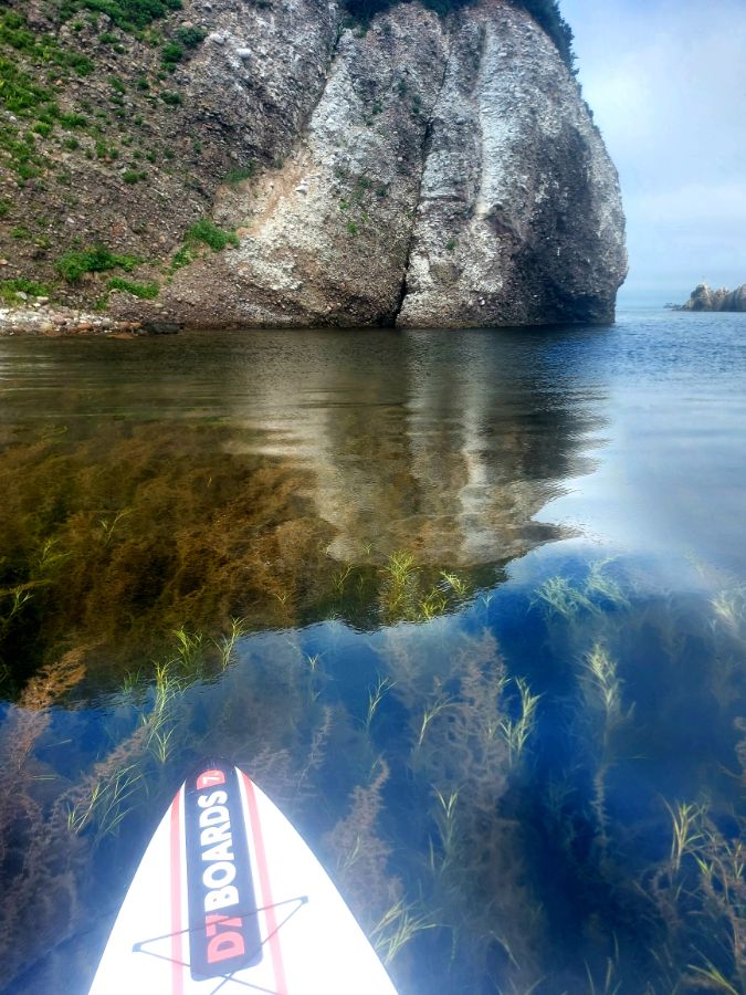 Мыс Старицкого