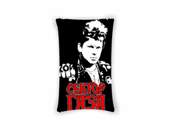 Подушка Сектор Газа, Юрий Хой №41