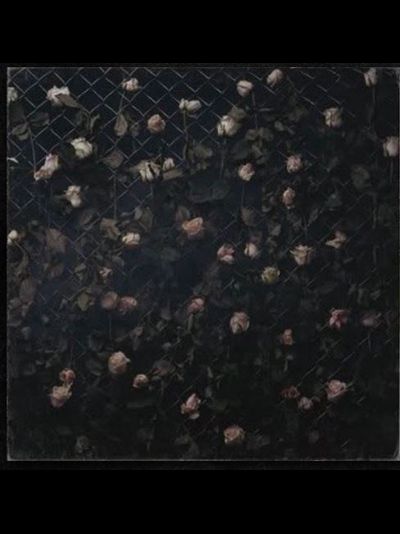 Wlvs - Заповедник Последних Иллюзий LP