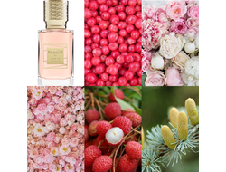 Ex Nihilo Lust in Paradise