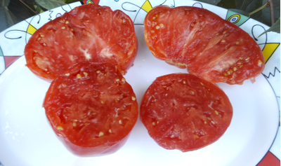 Томат Гордость Грайтмара (Grightmire's Pride) США