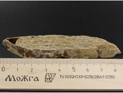 Гипс, кристалл, Россия, Ставропольский край (86*17*10 мм, 22 г) №29488