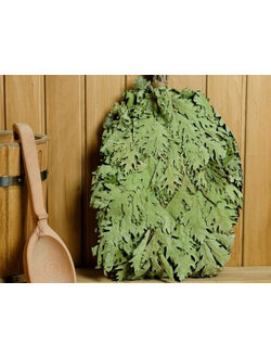 Веник Канадский дуб (без упаковки)