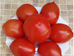 Томат Вареники