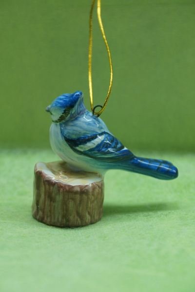 Сойка - Птицы России