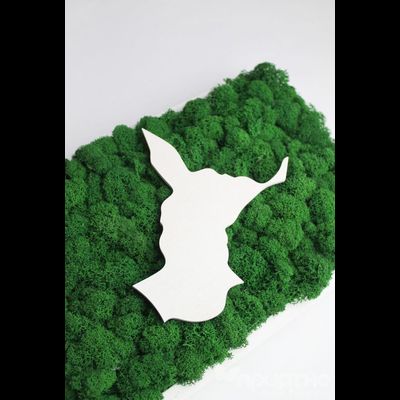 ЖИВАЯ ЭКО-КАРТИНА 1033