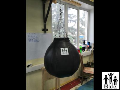 Боксерская груша DNN "Шар"