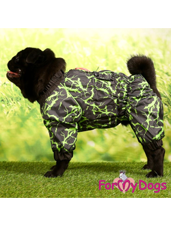 ДОЖДЕВИК ЧЕРНО/ЗЕЛЕНЫЙ НЕОН ДЛЯ МОПСОВ И ФРАНЦУЗОВ