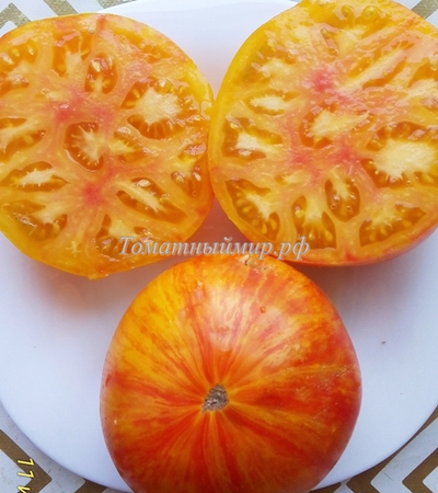 Томат Король красоты (Beauty King)