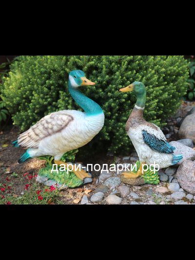 Селезень - красавец 40*28см полистоун Россия 1675/012564*