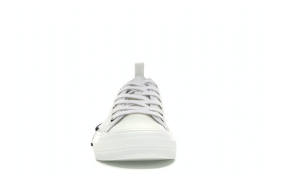 Converse x Dior B23 белые низкие