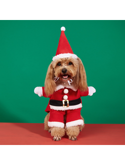 Новогодний костюм Санты для собак и кошек