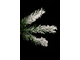 Искусственная елка Сибирская светодиодная 180 см заснеженная