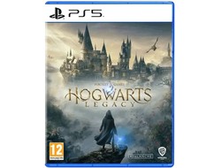 Игра Hogwarts Legacy (PS5)