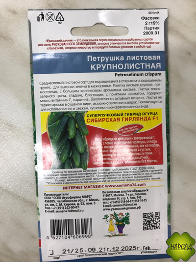 ПЕТРУШКА "КРУПНОЛИСТНАЯ"