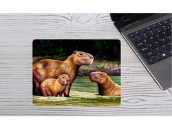 Коврики для мыши Капибара, Kapibara-san