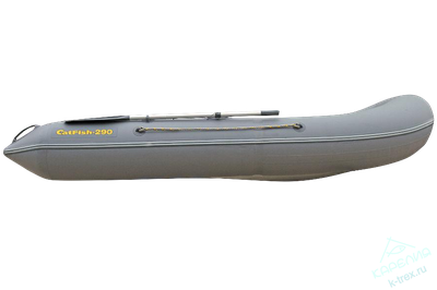 Лодка ПВХ Мнев и К CatFish-290