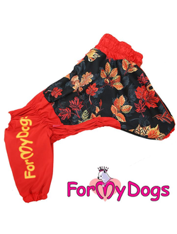 Дождевик Листья красный