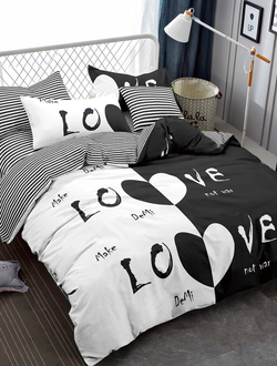 Постельное белье евро TANGO Dream Fly микросатин 200x220x1 220x245x1 50x70x2 DF03-549