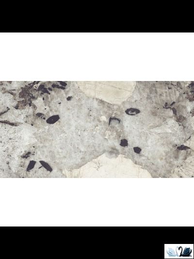 Керамогранит Creto Patagonia 60х120 High Gloss серый