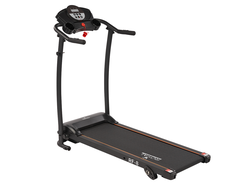 Беговая дорожка электрическая Royal Fitness RF-8