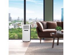 Кондиционер мобильный Electrolux Manhattan EACM-07 FM/N3