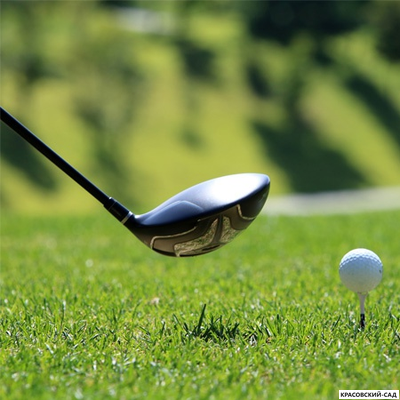 Рулонный газон Спортивный