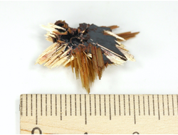 Редкость! Рутил свободного роста, сростки "звезды" золотистых игольчатых кристаллов на кристаллах гематита, Бразилия (22*18*6 мм, 1,25 г) №37913