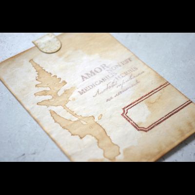 ФП  штамп "Папоротник серебристый"