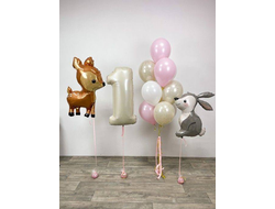 Комплект шаров для девочек №6