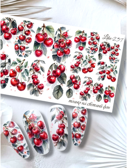 Слайдер-дизайн для ногтей LIKE-237