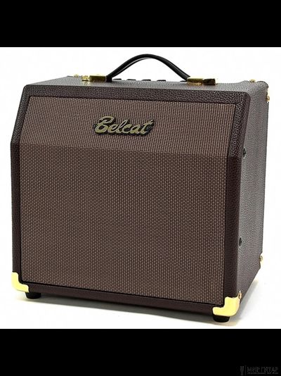 Belcat Acoustic-15C
