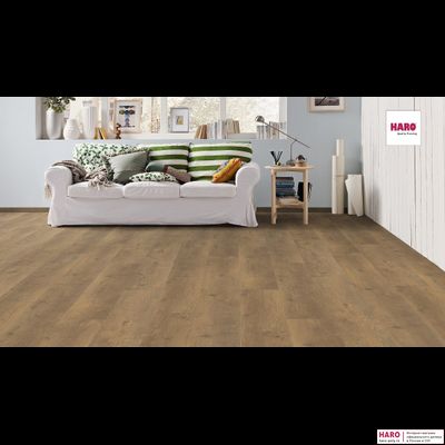 Ламинат Haro Tritty 100 Campus Дуб Бергамо Натур 538747 33 класс толщина 8 мм с фаской 2.13 м2