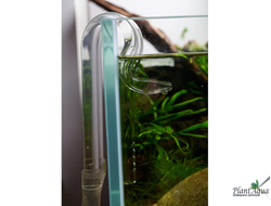 Набор Lily Pipe Duck NANO 13 мм - вход и выход из стекла для наноаквариумов