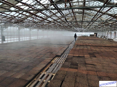 Дождеватель туманообразующий красный, 72,2-109,7л/ч, радиус 1,1-1,2м