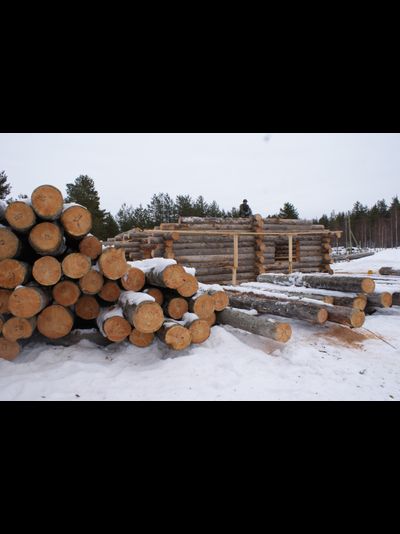 Бревно Кело диаметр 34 см, длина 6 м