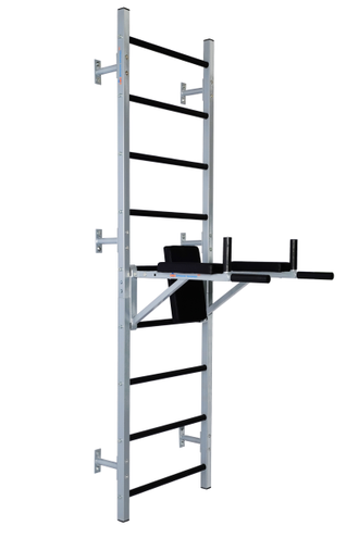 Навесные «Брусья-пресс» ДТ