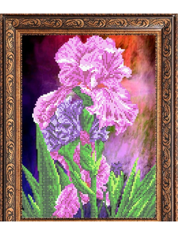 Ирисы 2, К4102