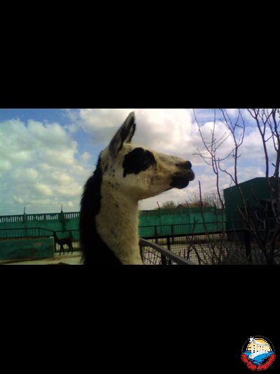 Сафари-парк "Тайган"