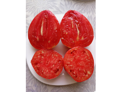 Томат Бабушка быка