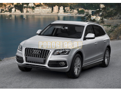 Пороги на AUDI Q5 (2008-2016) Black-Premium