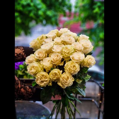 Роза Эквадор 80 см 25 шт