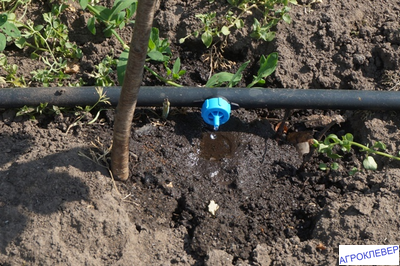 Капельница компенсированная разборная 1/4 синяя 8л/ч 0,8-3.2bar в саду