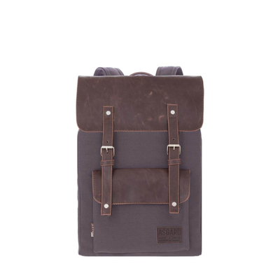 Asgard Р-5546 Капучино вид спереди