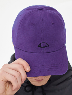 Кепка Anteater 6Panel Фиолетовая фото 2