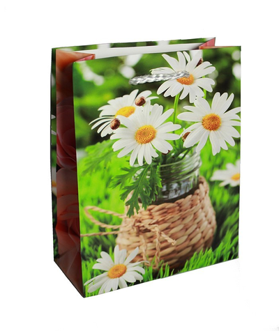 Пакетик подарочный Цветы 14х20х7см (микс)