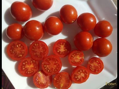 Томат Паста Бернардини (Pasta Bernardini)