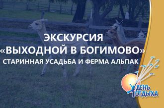 Экскурсия &quot;Выходной в Богимово&quot;. Старинная усадьба и ферма альпак