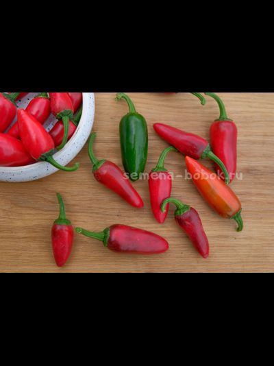 Перец острый Jalapeno Craig's Grande (Халапеньо Крейг Гранд), 10 шт